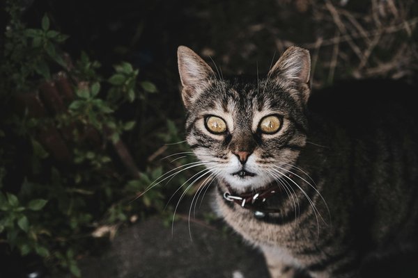 Wie beeinflussen Immobilienpreise die wirtschaftliche Stabilität?